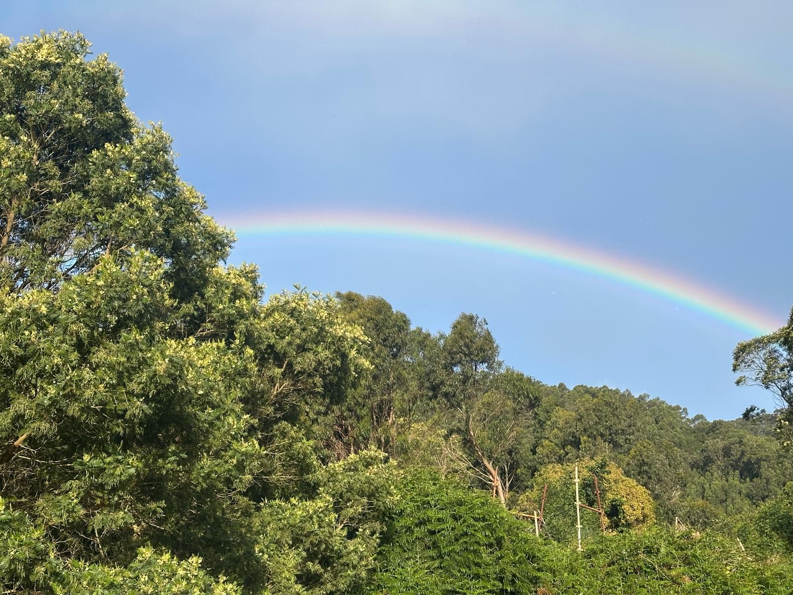Madeira, Portugal — image 3
