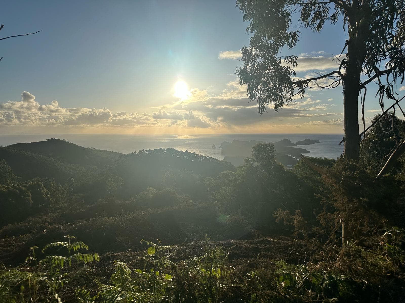 Citadel Garden village impression 3