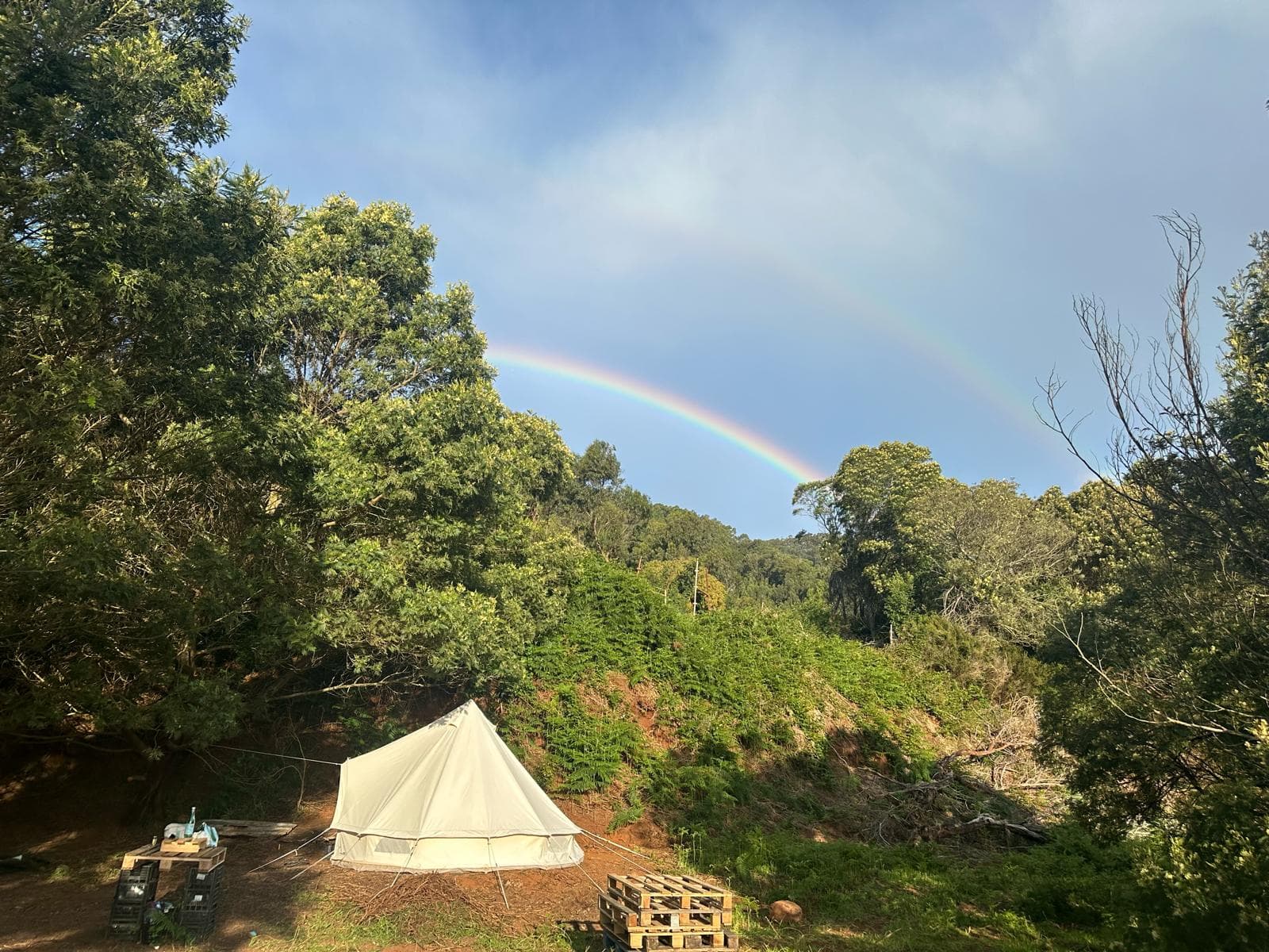 Madeira, Portugal — image 2