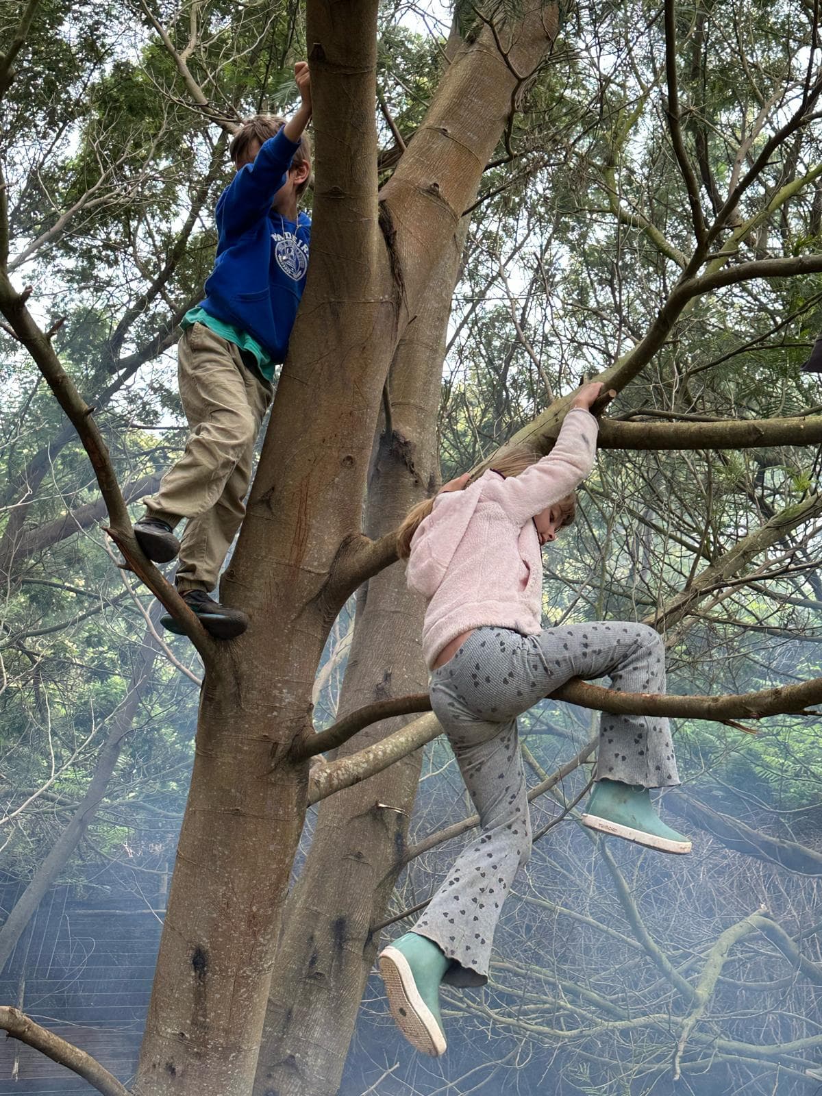 Citadel Garden village impression 1